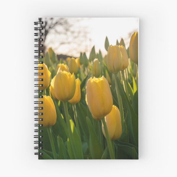 Item preview, Tulips 13 designed and sold by Praytera.