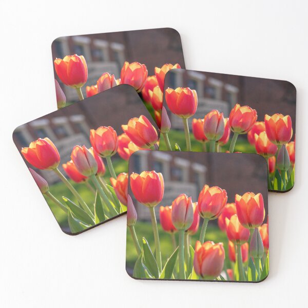 Item preview, Tulips 14 designed and sold by Praytera.