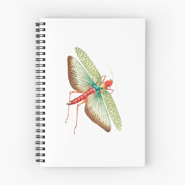 Item preview, Cricket designed and sold by ConceptualUsage.