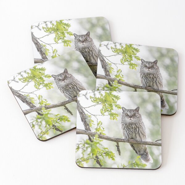 Item preview, Surprised Owl Cat designed and sold by koty-vezde.