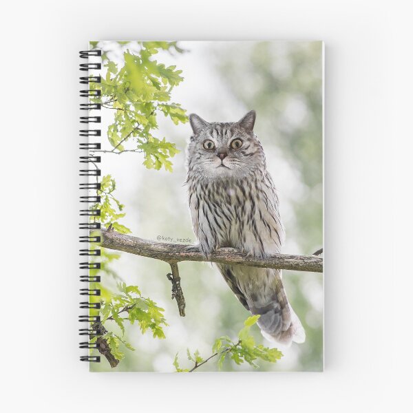 Item preview, Surprised Owl Cat designed and sold by koty-vezde.