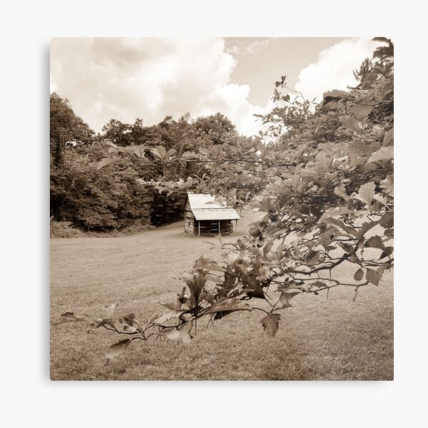 Vintage Cabin Photography Metal Print