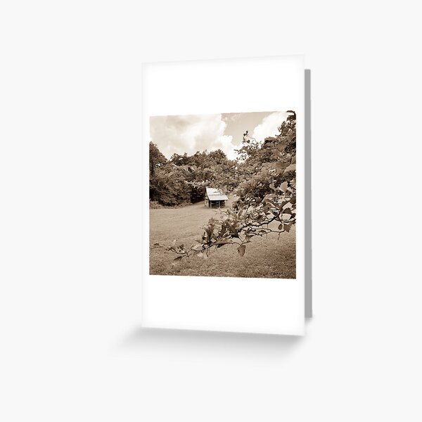 Vintage Cabin Photography Greeting Card