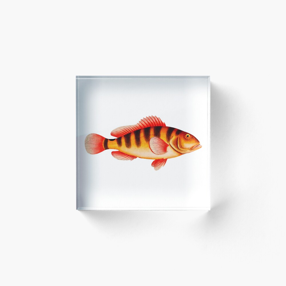 Item preview, Acrylic Block designed and sold by ConceptualUsage.