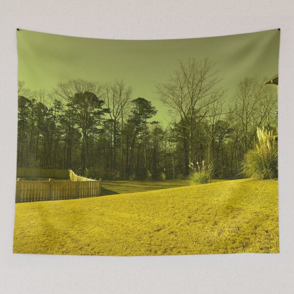 Item preview, Beautiful Smokey Sky Tall Woodland Trees Sunburnt  Golden Grass Landscape Shrub Plants designed and sold by NadeenInspires.
