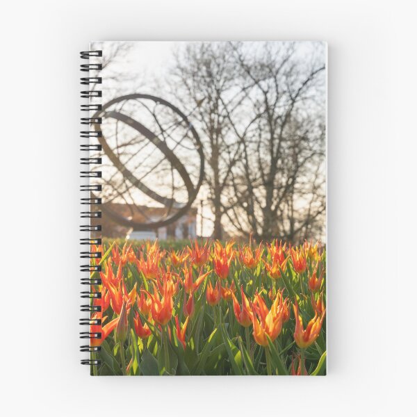 Item preview, Sundial Tulips designed and sold by Praytera.