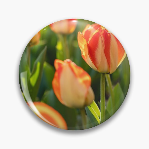 Item preview, Tulips 16 designed and sold by Praytera.