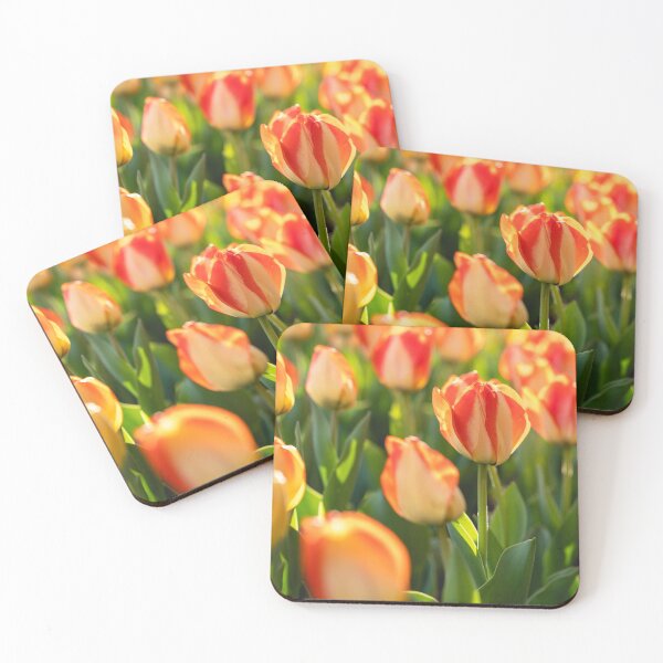 Item preview, Tulips 16 designed and sold by Praytera.