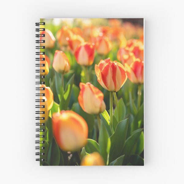 Item preview, Tulips 16 designed and sold by Praytera.
