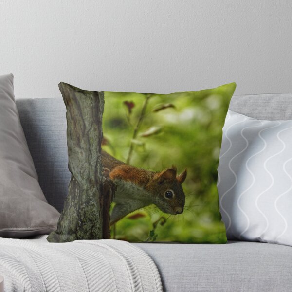 Item preview, Squirrel #1 designed and sold by photobypj.