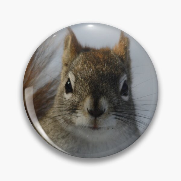 Item preview, Squirrel #2 designed and sold by photobypj.