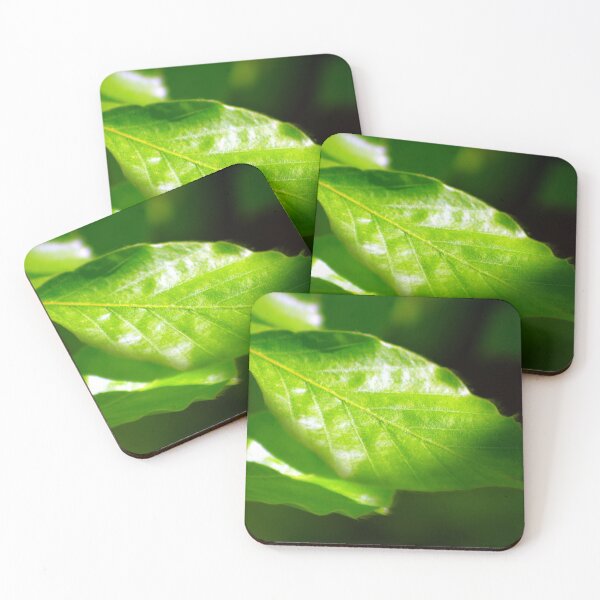 Item preview, Beech leaf in the sunshine designed and sold by Treemonk.
