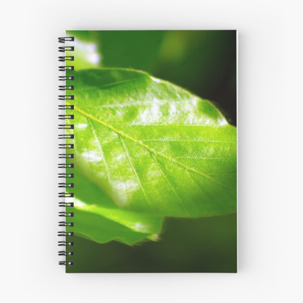 Item preview, Beech leaf in the sunshine designed and sold by Treemonk.
