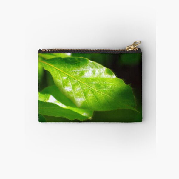 Item preview, Beech leaf in the sunshine designed and sold by Treemonk.