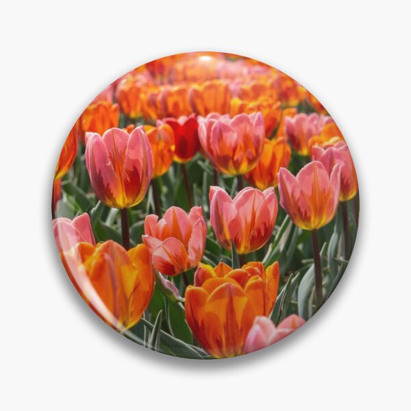 Item preview, Tulips 19 designed and sold by Praytera.