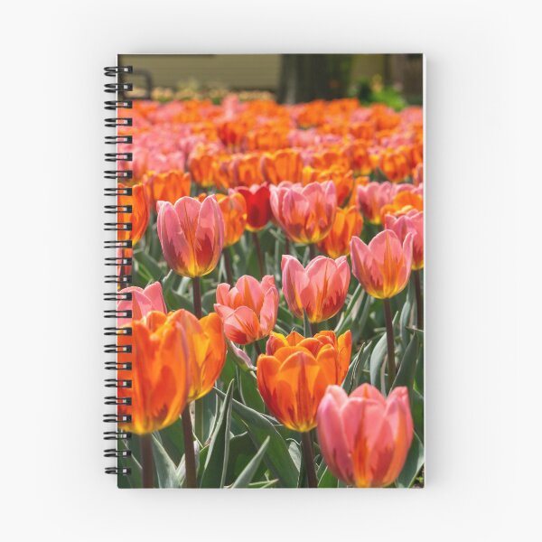 Item preview, Tulips 19 designed and sold by Praytera.