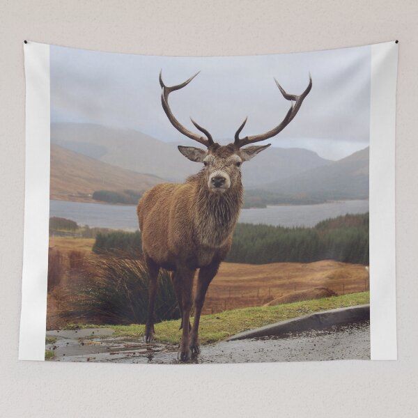 Item preview, Stag  designed and sold by Md1982.