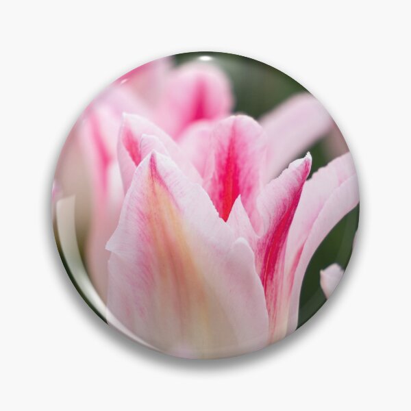 Item preview, Tulips 20 designed and sold by Praytera.