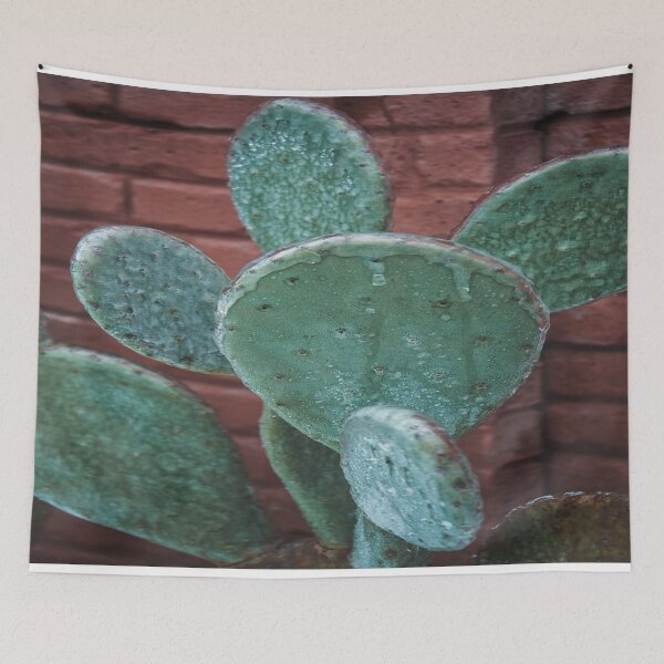 Item preview, Frozen Icy Winter Cactus designed and sold by JLPhotographer.