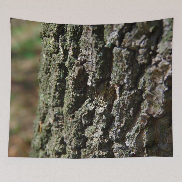 Item preview, Oak bark designed and sold by Treemonk.