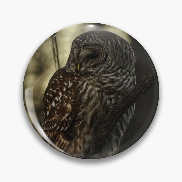 Item preview, Barred owl at sunset designed and sold by photobypj.