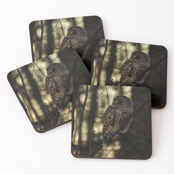 Item preview, Barred owl at sunset designed and sold by photobypj.