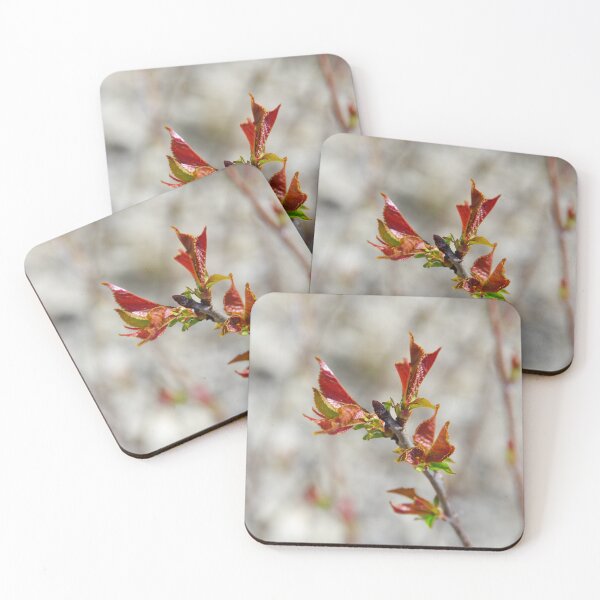 Item preview, Spring buds of a cherry designed and sold by Treemonk.