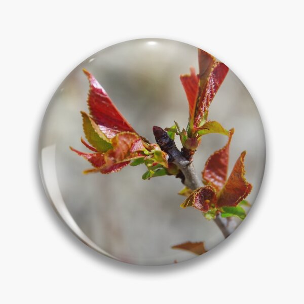 Item preview, Spring buds of a cherry designed and sold by Treemonk.