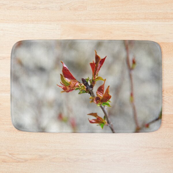 Item preview, Spring buds of a cherry designed and sold by Treemonk.