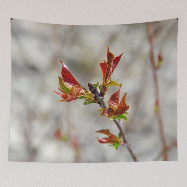Item preview, Spring buds of a cherry designed and sold by Treemonk.
