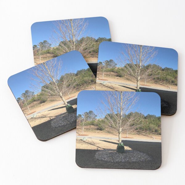 Item preview, Nature's Backyard Lone Leafless Tree in Sea Stones Offset Beautiful Clear Blue Sky and Landscaped Plant Shrubs designed and sold by NadeenInspires.
