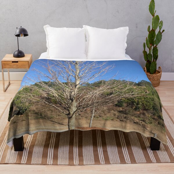 Item preview, Nature's Backyard Lone Leafless Tree in Sea Stones Offset Beautiful Clear Blue Sky and Landscaped Plant Shrubs designed and sold by NadeenInspires.