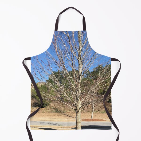 Item preview, Nature's Backyard Lone Leafless Tree in Sea Stones Offset Beautiful Clear Blue Sky and Landscaped Plant Shrubs designed and sold by NadeenInspires.