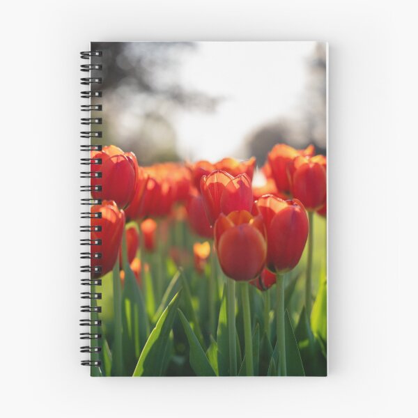 Item preview, Tulip Dream designed and sold by Praytera.