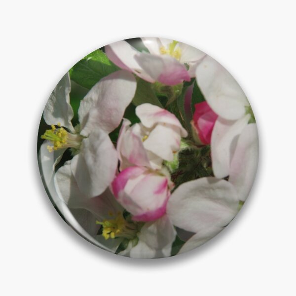 Artikelvorschau, Apfelblüte in der Frühlingssonne entworfen und verkauft von Treemonk.