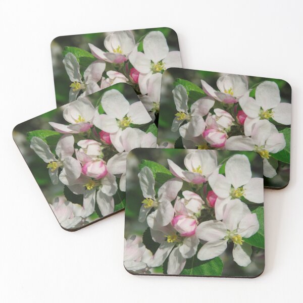 Item preview, Apple blossom in the spring sun designed and sold by Treemonk.