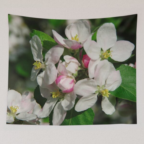 Item preview, Apple blossom in the spring sun designed and sold by Treemonk.