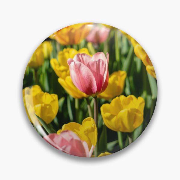 Item preview, Tulips 21 designed and sold by Praytera.