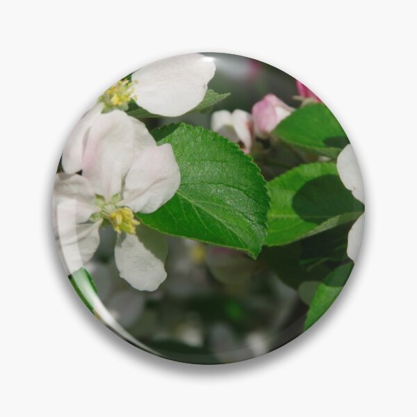 Artikelvorschau, Apfelblüte in der Frühlingssonne entworfen und verkauft von Treemonk.