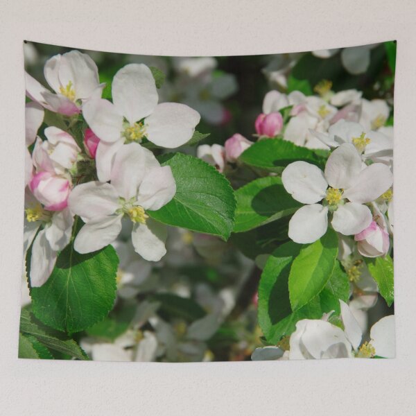 Item preview, Apple blossom in the spring sun designed and sold by Treemonk.
