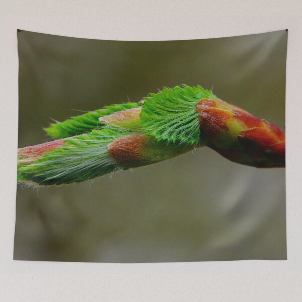 Item preview, Beech bud in spring designed and sold by Treemonk.