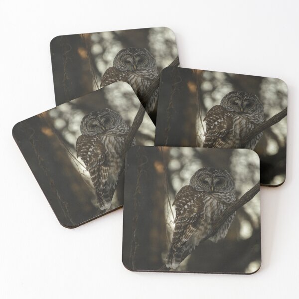 Item preview, A barred owl designed and sold by photobypj.