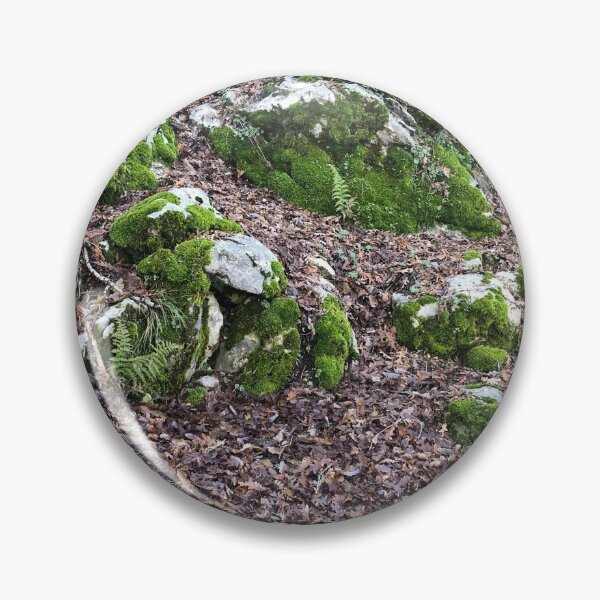 Item preview, Soft moss in autumn nature designed and sold by anisebou.