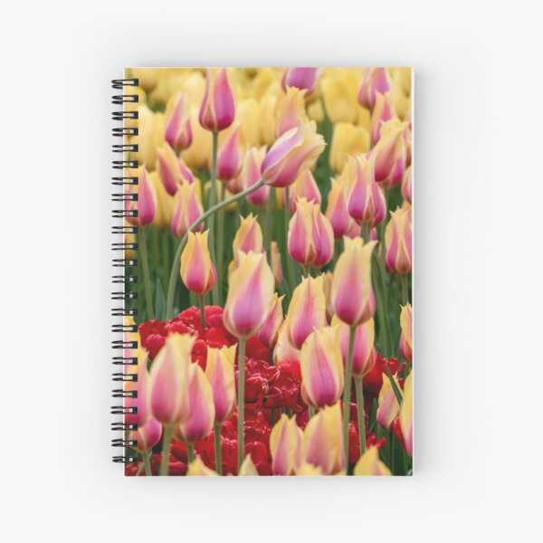 Leaning In! Spiral Notebook