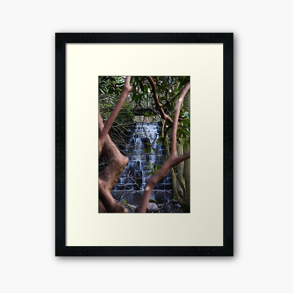 Arrowe Brook Waterfalls and Rhododendron Framed Art Print