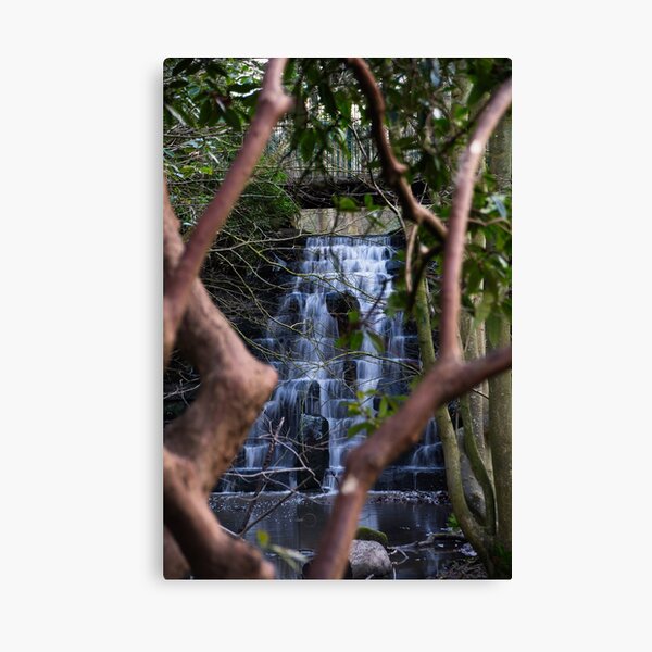 Arrowe Brook Waterfalls and Rhododendron Canvas Print