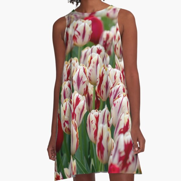Peppermint A-Line Dress