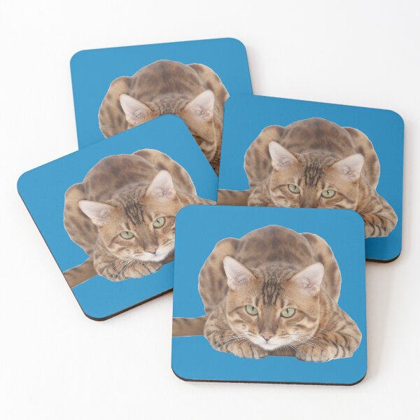 Item preview, Pet Bengal Cat, Lying Down Crouching designed and sold by ScienceSource.