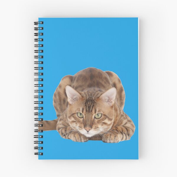 Item preview, Mascota gato de Bengala, acostado en cuclillas designed and sold by ScienceSource.