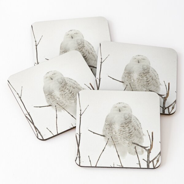 Item preview, Snowy owl on tree branch designed and sold by photobypj.